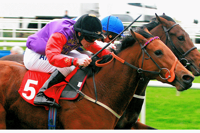 Les chevaux connectés en 2015 avec le PMU