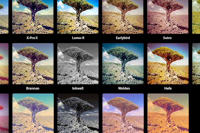 Instagram dépasse Twitter en nombre d&rsquo;utilisateurs aux Etats Unis