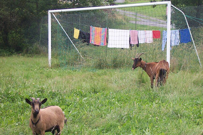 L&rsquo;équipe d&rsquo;Espagne moquée sur twitter après sa défaite 5-1 face à la Hollande