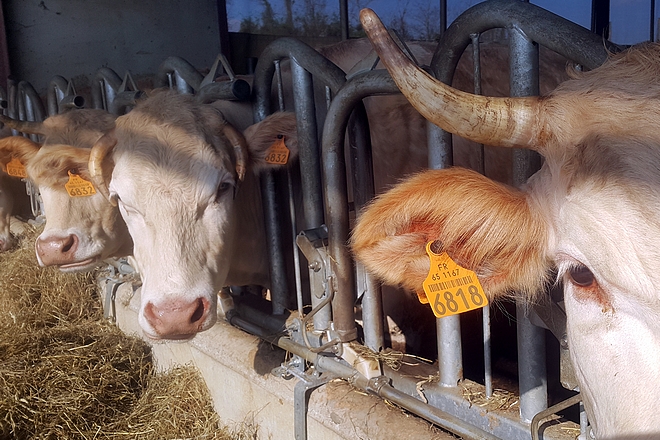 Partage de données agricoles, les applications montent en puissance en France